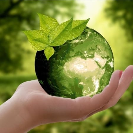 Environmentally Responsible Packaging