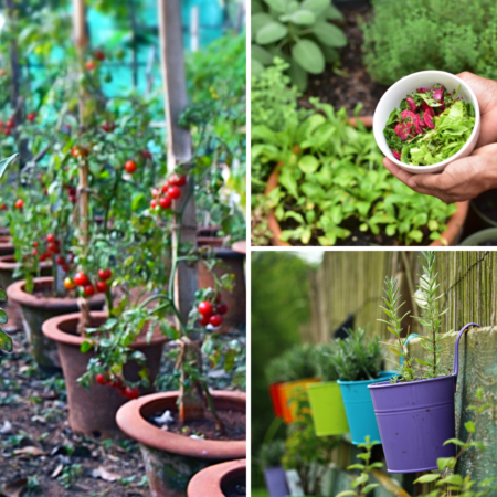 ContainerGardening